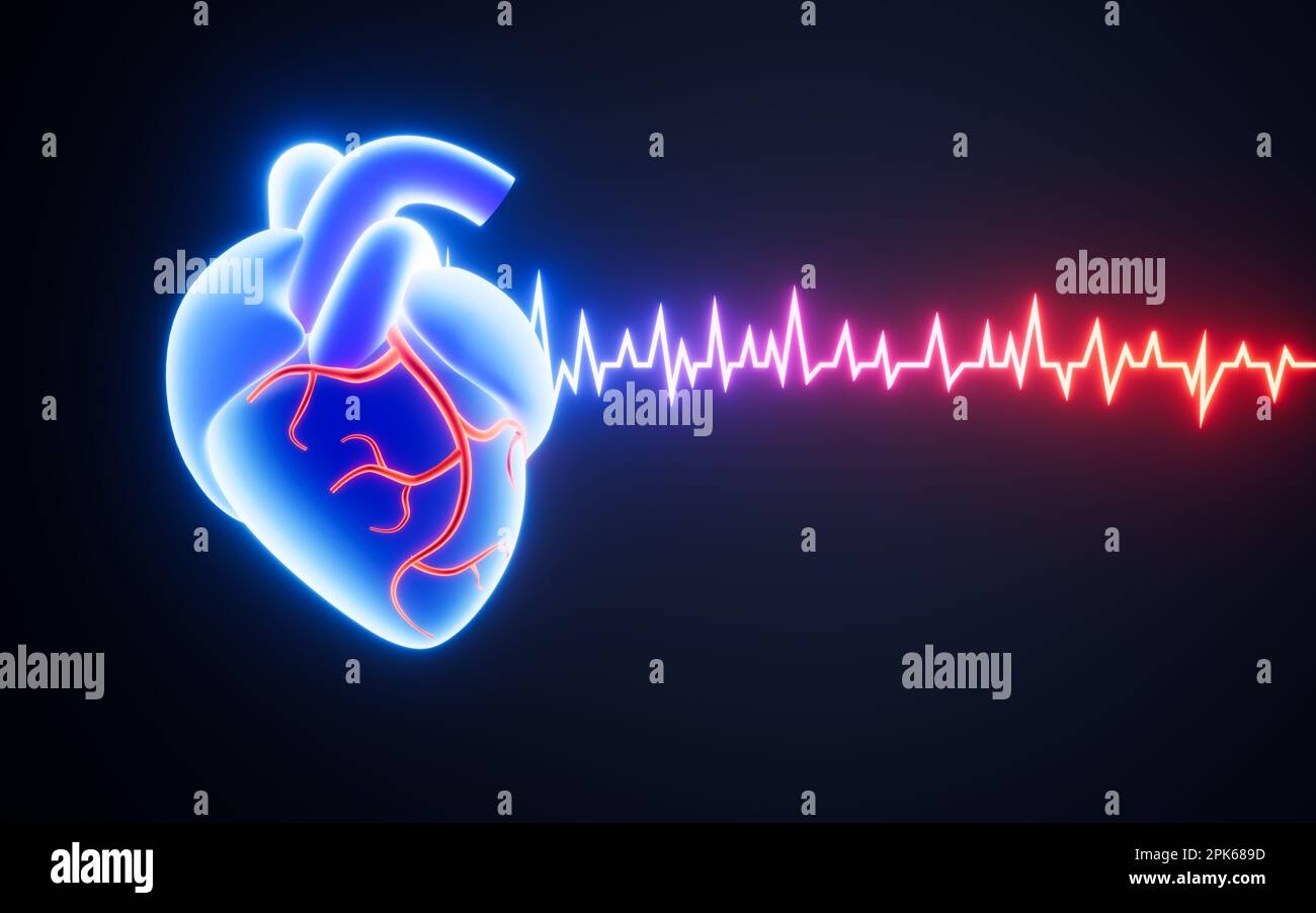 Warum Spüre Ich Meinen Herzschlag Im Liegen Herzfrequenzlinie des menschlichen Herzens und Herzschlag im EKG, 3D