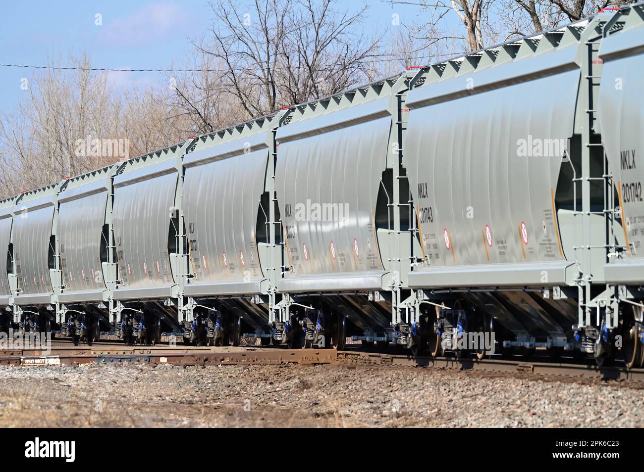 Elgin, Illinois, USA. Ein Güterzug der kanadischen Nationalbahn aus überdachten Trichtern, der eine Kreuzung mit einer anderen Eisenbahn passiert. Stockfoto