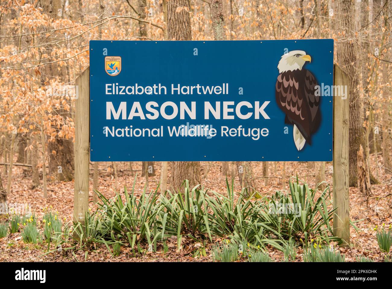 Am Elizabeth Hartwell Mason Neck National Wildlife Refuge, Virginia, USA, befindet sich ein Eingangsschild mit Weißkopfseeadler und FWS-Emblem Stockfoto