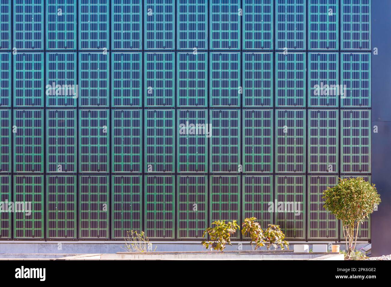 ECO-Solar-Haus, Terrassenhaus mit spezieller Außenhaut mit transparenter Wärmedämmung, Photovoltaik auf Dach und Fassade, Uttwil, Kanton Stockfoto