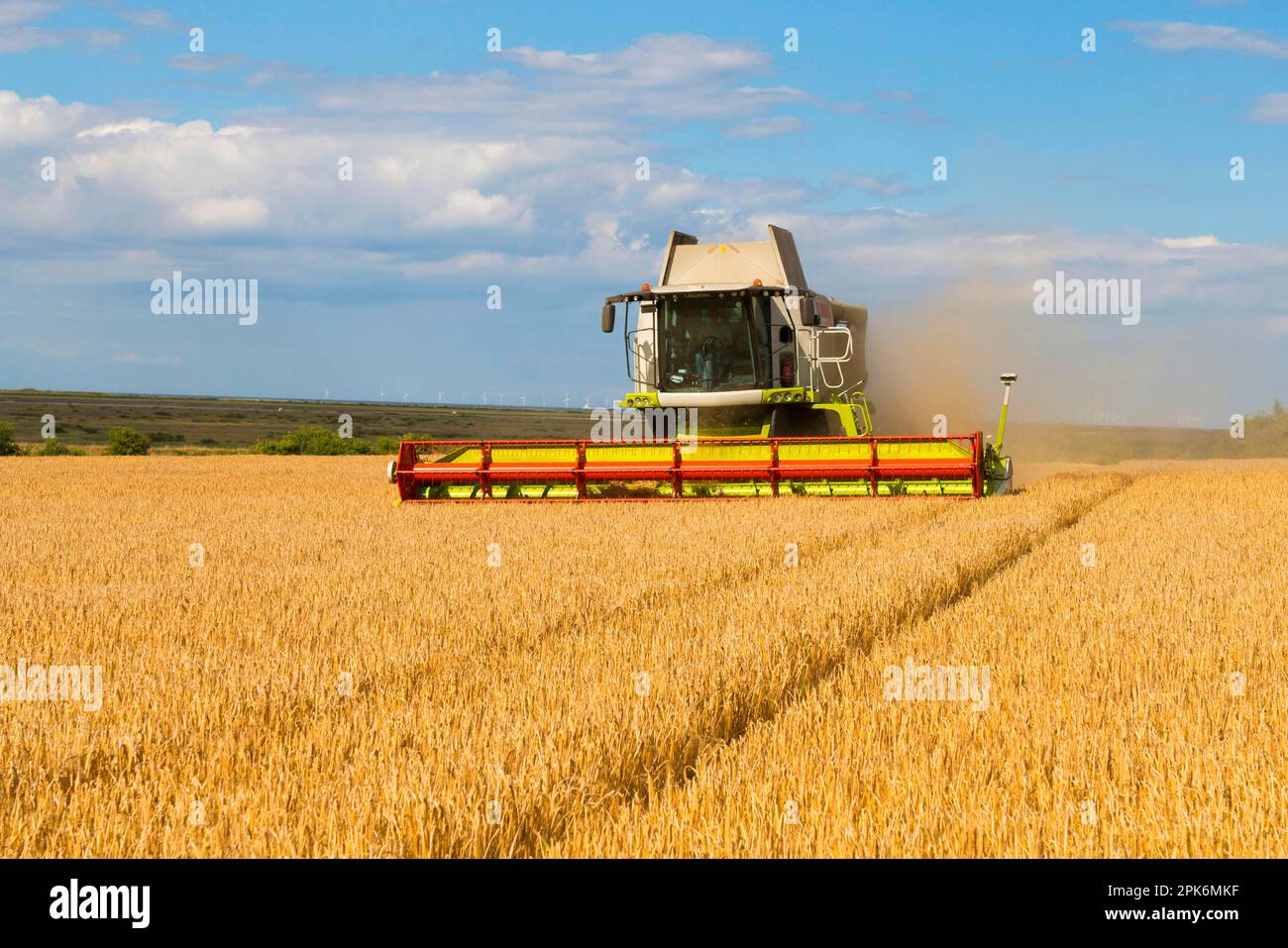 Claas Mähdrescher, erntet Gerste (Hordeum vulgare), „Flagon“-Ernte, in Küsten-Ackerland mit Sheringham Shoal Offshore Wind Farm in Stockfoto