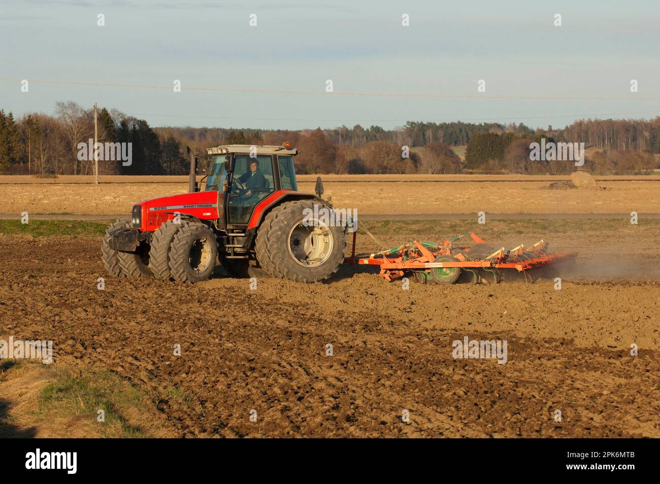 Massey Fergusson 6290-Traktor mit Eggen, Eggenfeld, Schweden Stockfoto