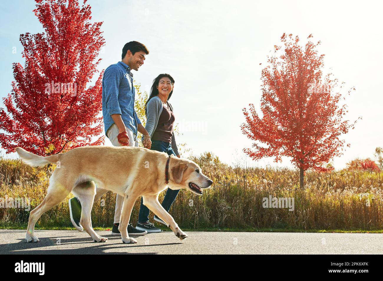 Die Hölle gibt definitiv einen guten Vater ab. Ein liebevolles junges Paar, das mit seinem Hund durch den Park spaziert. Stockfoto