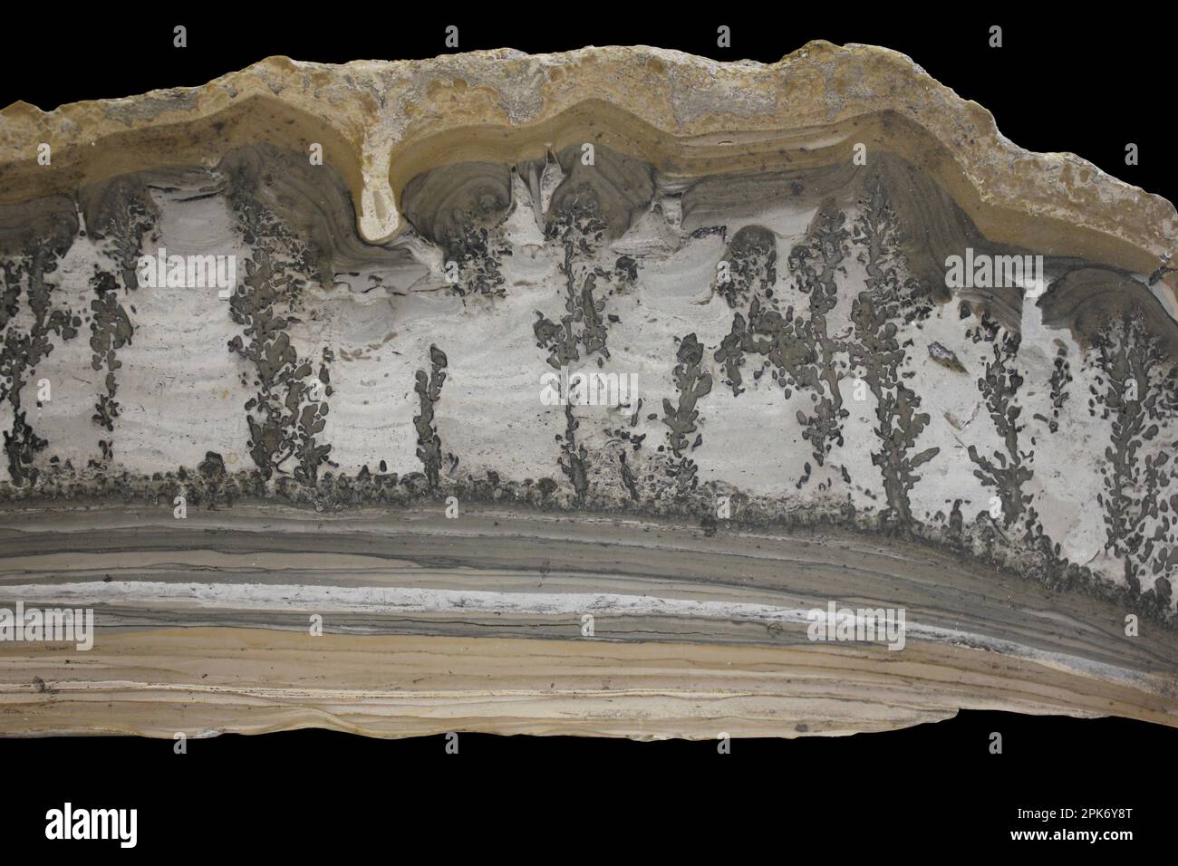 Cotham Landscape Marble Stockfoto