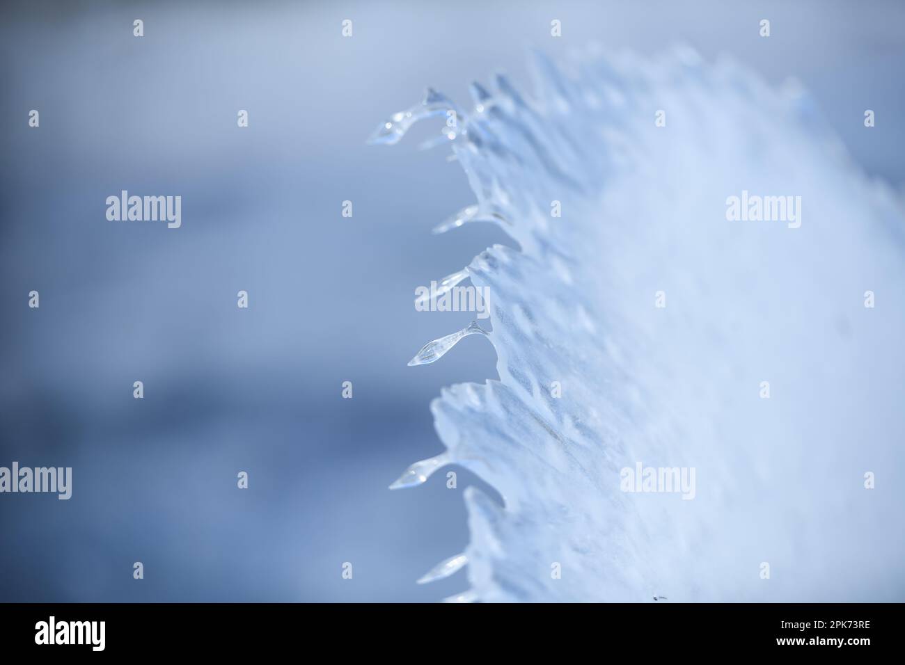 Schief gelaufen... Eisformationen * Winterflut 2020/2021 *, Eisplatte hängt an einem Weidezaun, Überreste der abgelaufenen Flut Stockfoto