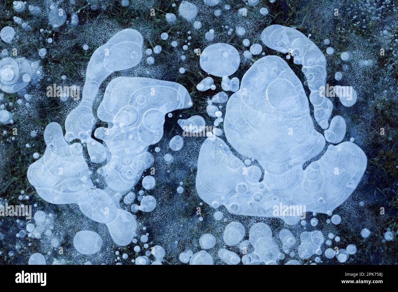 Luftblasen... Eis ( Winterflut 2020/2021 ), Eisschicht mit gefrorenen Luftblasen auf einer Wiese überflutet und gefroren bei starkem Frost im Rheinland Stockfoto