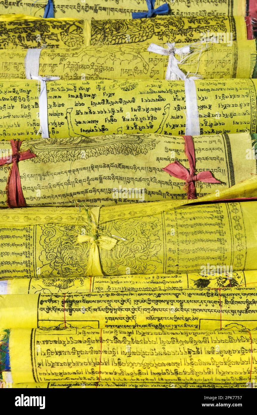 Gerollte tibetische Sanskrit-Schriftrollen zeigen detaillierte Kalligrafie und Zeichnungen, gebunden mit roten, blauen und weißen Schnur Stockfoto