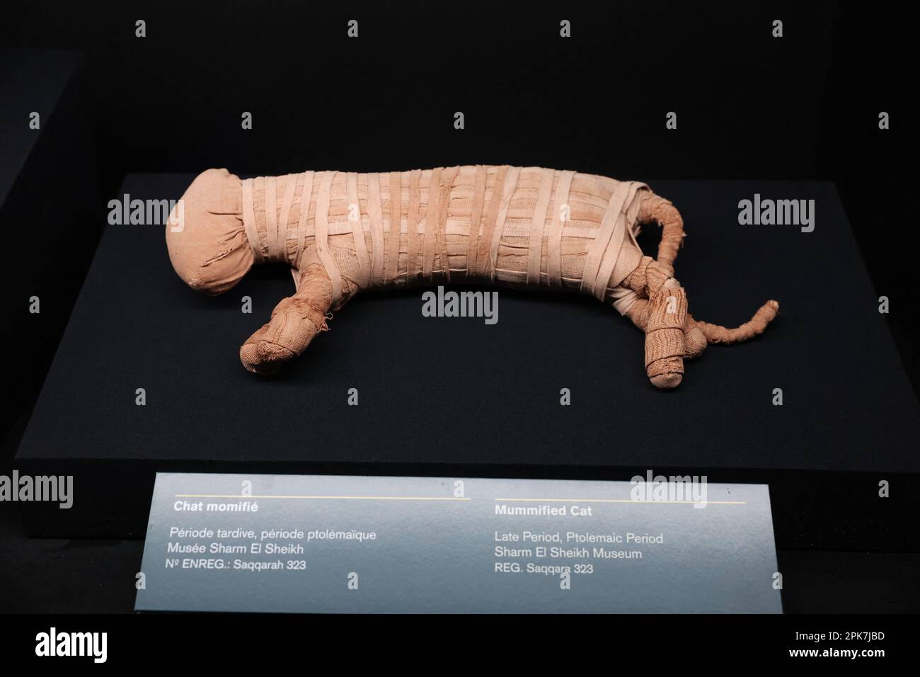 Paris, Frankreich, 6. April 2023, die Ausstellung „Ramses the Great and the Gold of the Pharaohs“ im Grande Halle de la Villette in Paris, Frankreich, wird am 6. April 2023 vom 7. April bis 6. September geöffnet. Es werden etwa 180 außergewöhnliche Werke gezeigt, darunter der berühmte Schatz von Tanis und die goldene Halskette von Psusenes I oder der Sarkophag von Pharao Ramses II Foto von Jerome Domine/ABACAPRESS.COM Kredit: Abaca Press/Alamy Live News Stockfoto