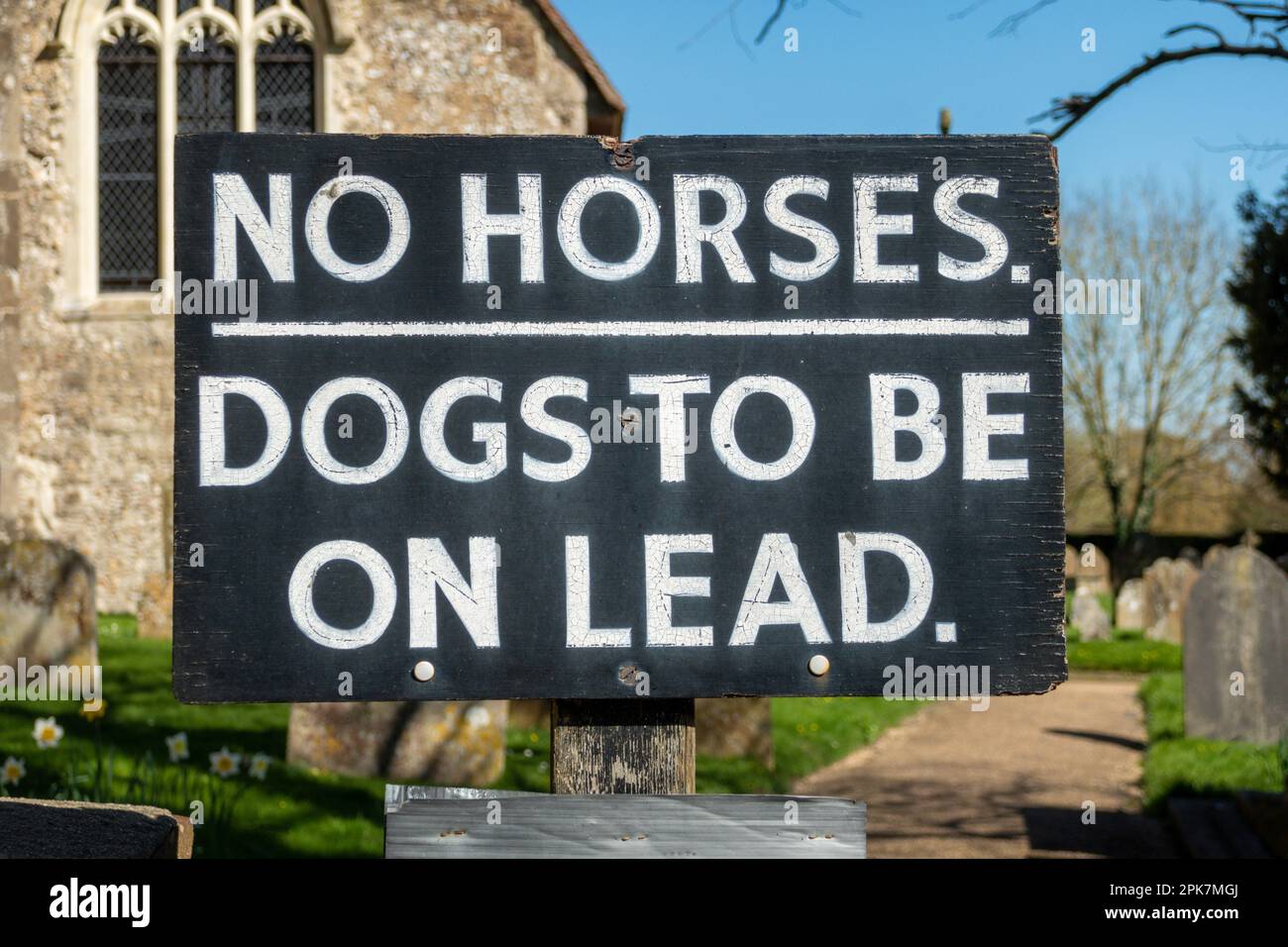 Keine Pferde Hunde auf dem Schild mit der Aufschrift "Lead", UK Stockfoto