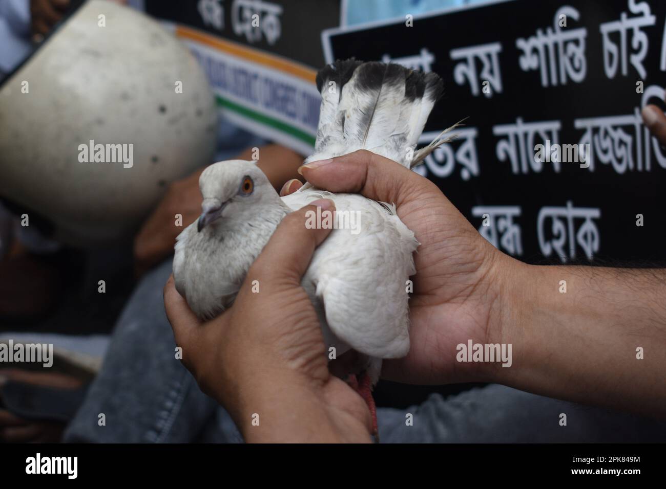 Kalkutta, Westbengalen, Indien. 5. April 2023. Indiens größte Oppositionspartei, der indische Nationalkongress (Inc), protestierte vor dem Raj Bhavan gegen die Unruhen, die kürzlich in verschiedenen Teilen Westbengals um die RAM Navami-Prozession herum ausgebrochen sind. (Kreditbild: © Sayantan Chakraborty/Pacific Press via ZUMA Press Wire) NUR REDAKTIONELLE VERWENDUNG! Nicht für den kommerziellen GEBRAUCH! Stockfoto