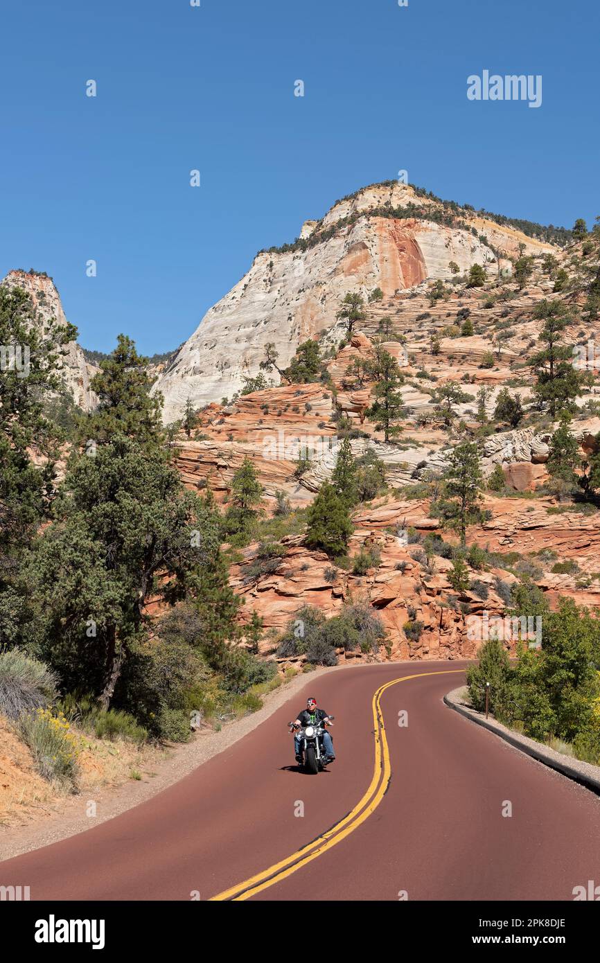 Ein Mann ohne Helm, der auf seinem Harley Davidson Motorrad auf dem malerischen „Zion-Mount-Carmel-Highway“ an den steilen Bergen des östlichen Zion-Nationalparks vorbeifährt Stockfoto