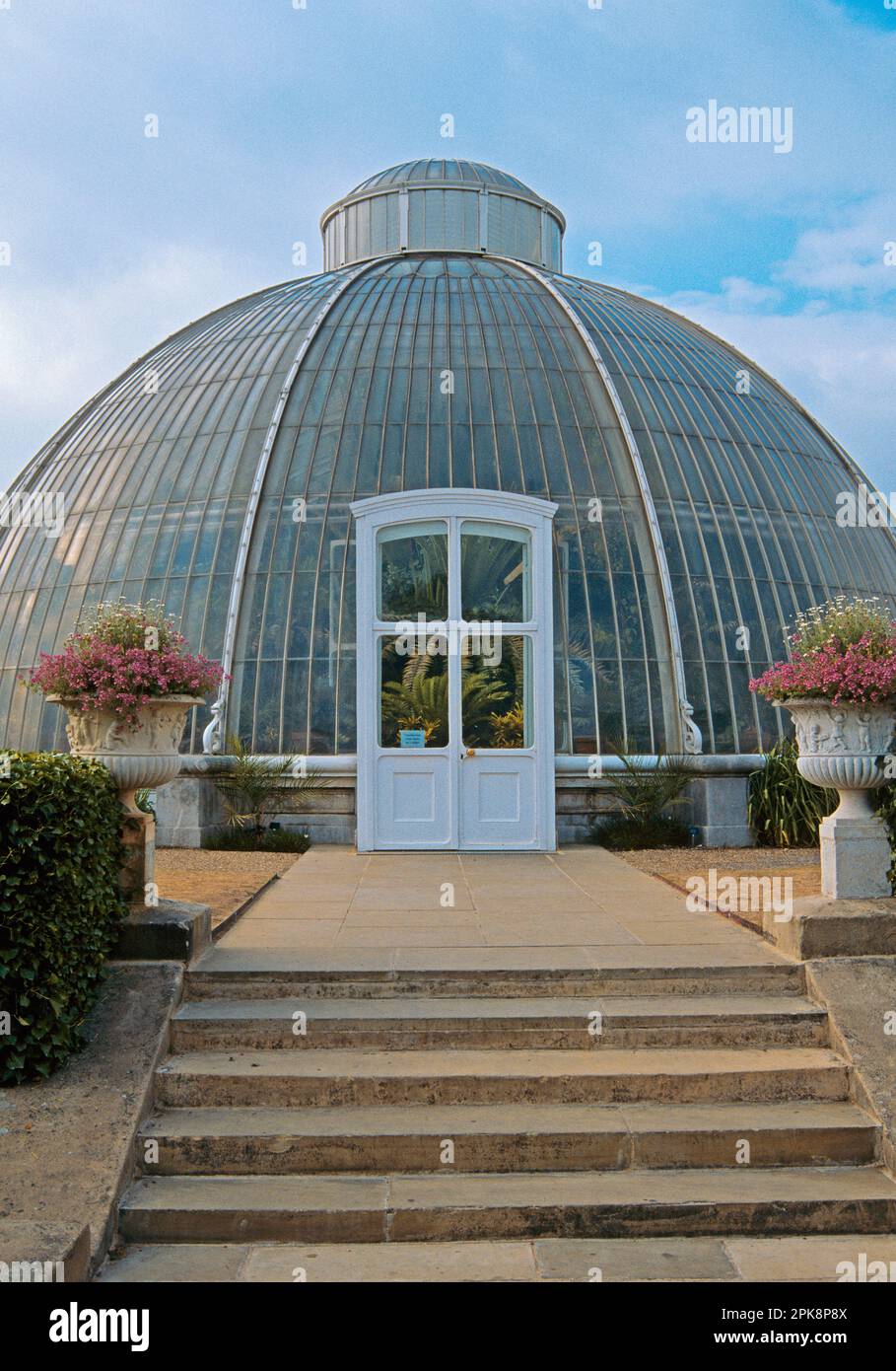 Der Seiteneingang des Palm House im Kew Gardens Richmond, Surrey, Großbritannien Stockfoto