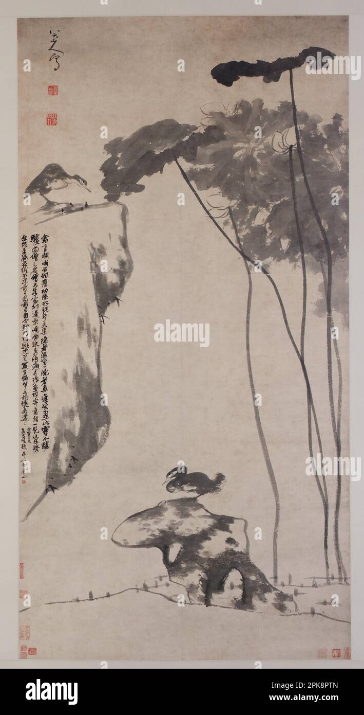 Lotus und Ducks, etwa 1696 von Bada Shanren Stockfoto