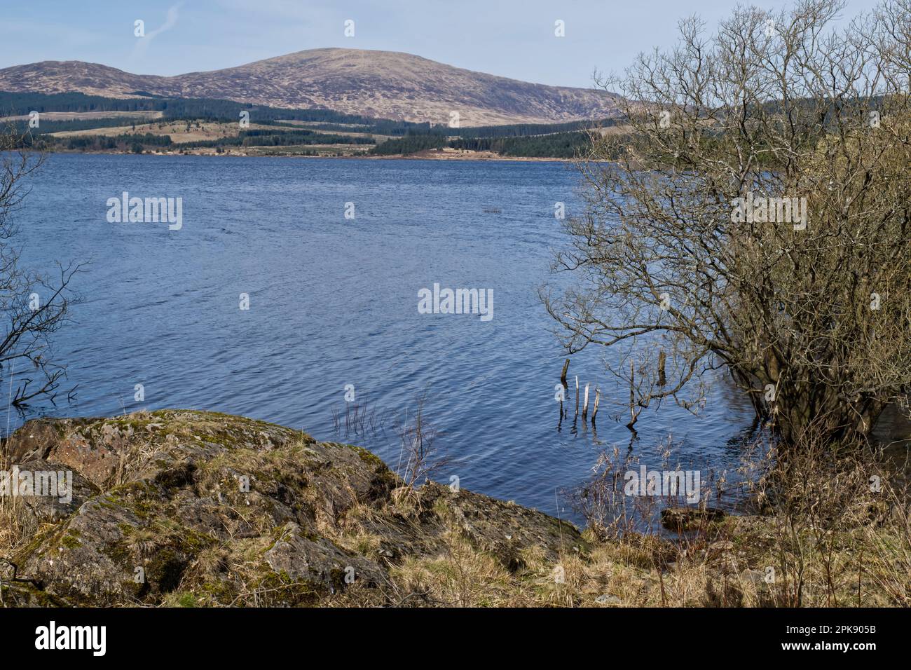 Clatteringshaws Loch, Galloway Forest Park, Dumfries und Galloway, Schottland, Großbritannien Stockfoto