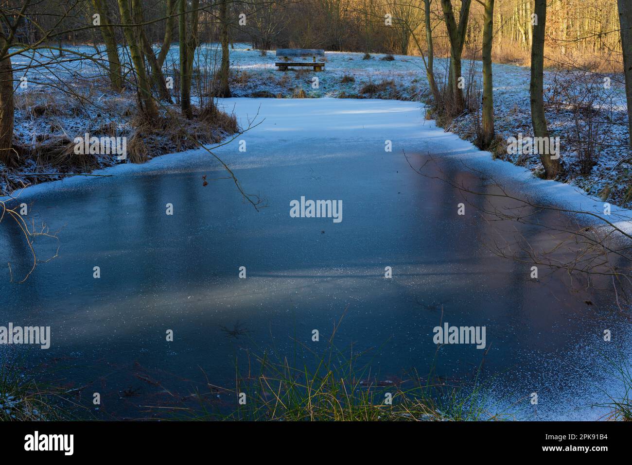 Sehr kleiner See in einem Wald im Winter Stockfoto