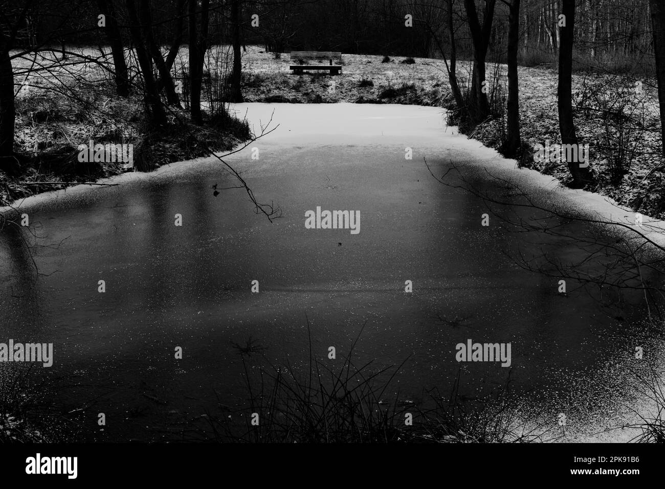 Sehr kleiner See in einem Wald im Winter, schwarz-weiß Stockfoto