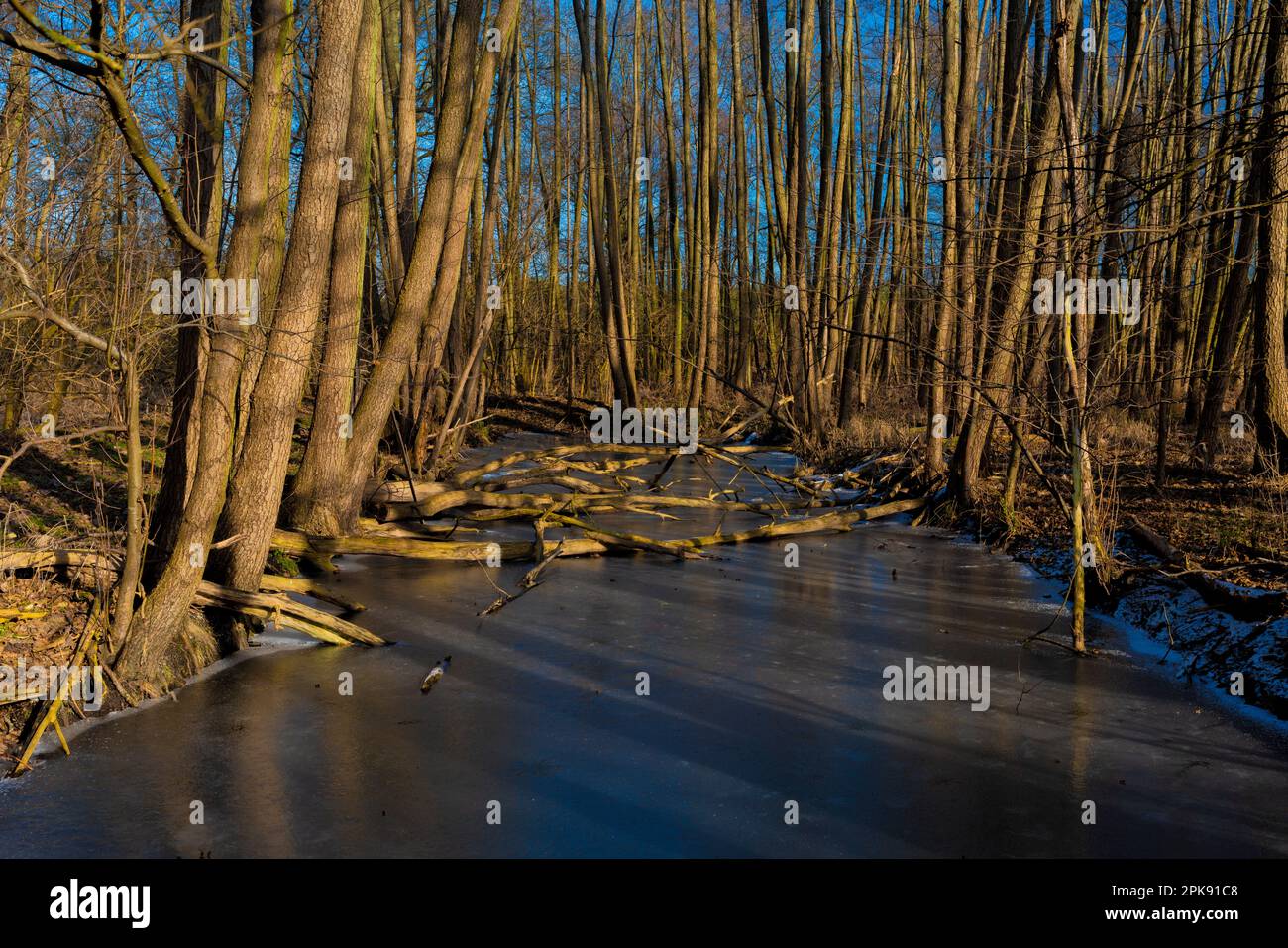 Kleiner gefrorener Arm des Flusses im Winter Stockfoto