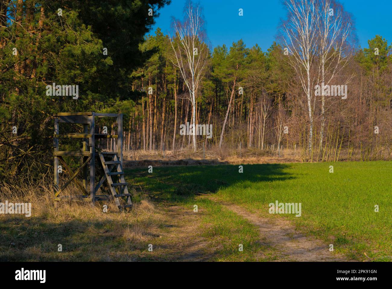 Kleiner hölzerner Ständer für einen Jäger neben einem landwirtschaftlichen Bereich Stockfoto