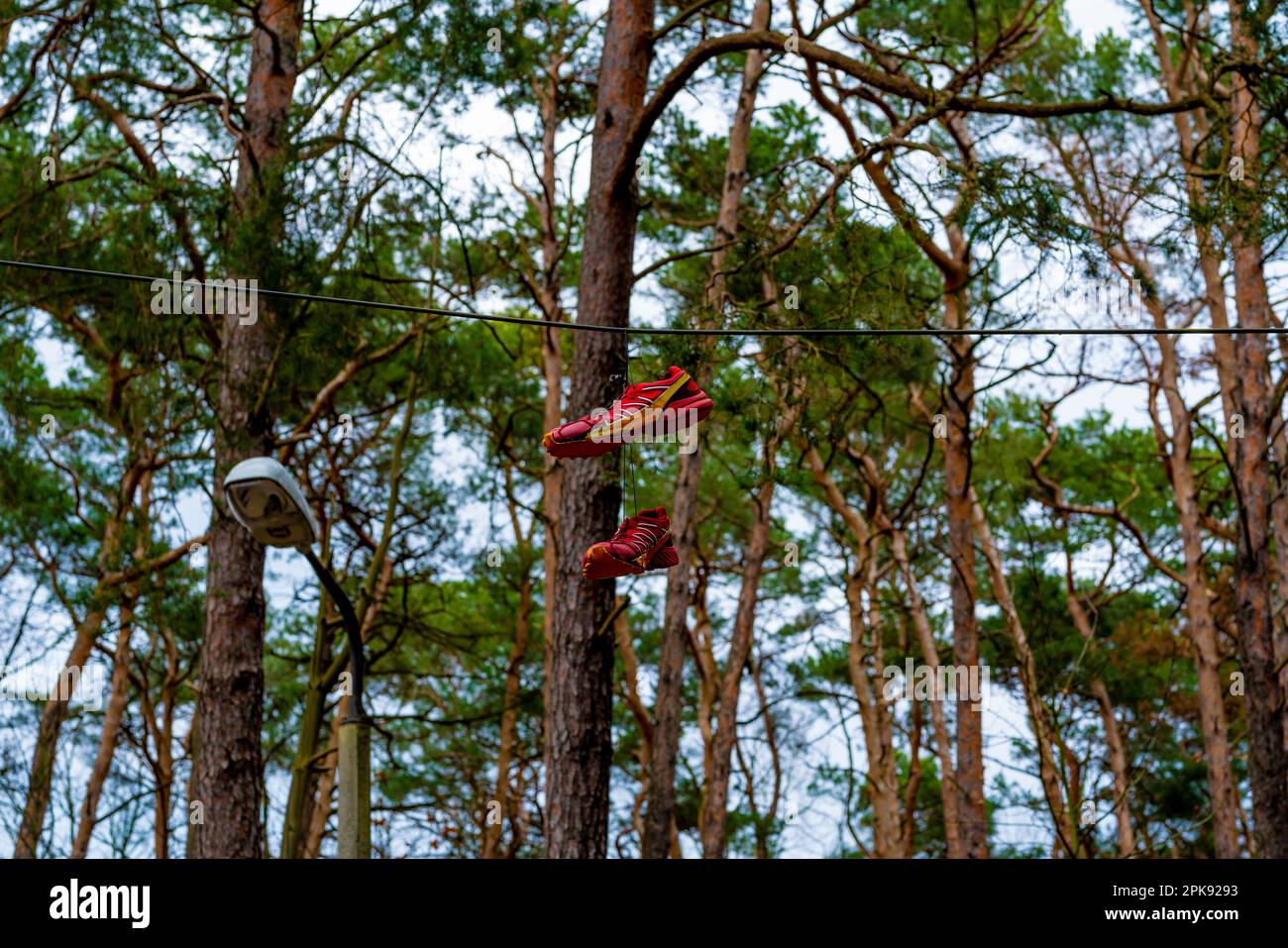 Sportschuhe hängen an einer Telefonleitung vor einem Wald Stockfoto