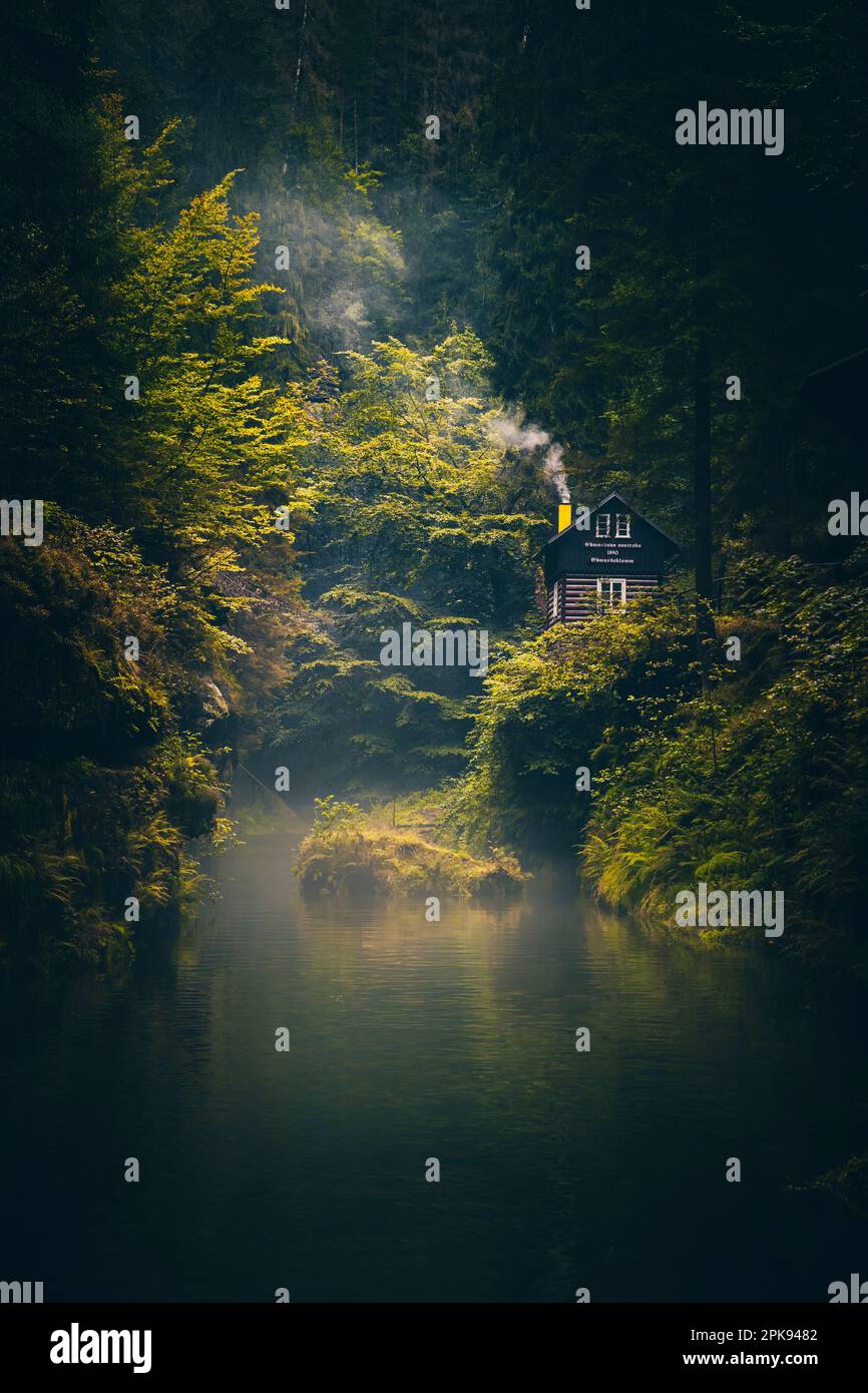 Hrensko, Tschechische Republik, Kamnitz-Schlucht, wunderschöne Natur, Wald mit Fluss Stockfoto