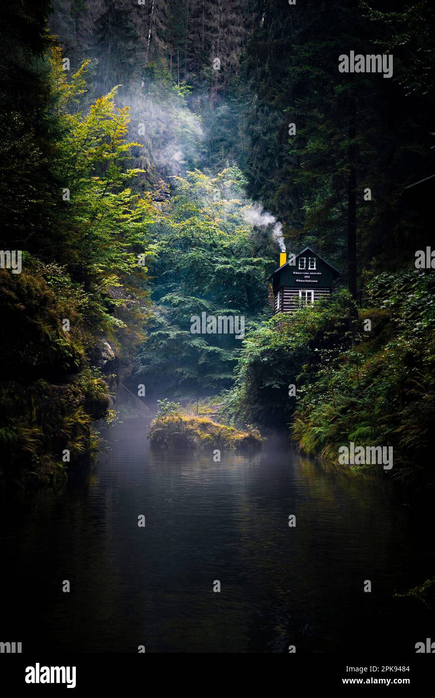 Hrensko, Tschechische Republik, Kamnitz-Schlucht, wunderschöne Natur, Wald mit Fluss Stockfoto