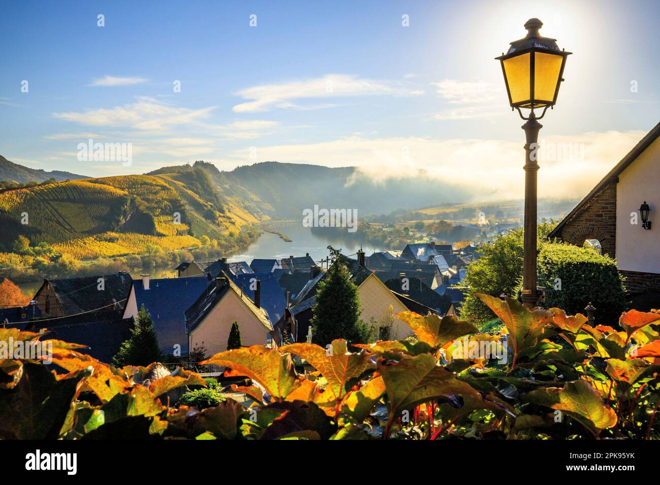 Traumhafter Sonnenaufgang über der Moselschleife bei Bremm. Herbstfoto der gelben Weinberge, wunderschönes Licht am Morgen. Stockfoto