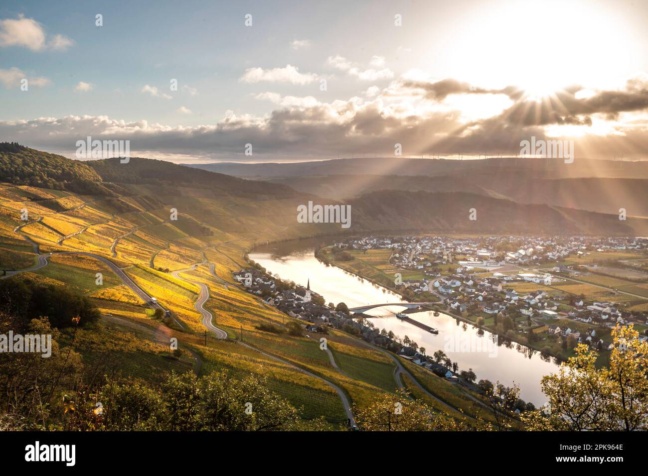 Piesport an der Mosel, wunderschöner Blick über das Moseltal im Herbst mit gelben Weinbergen. Deutschland Stockfoto