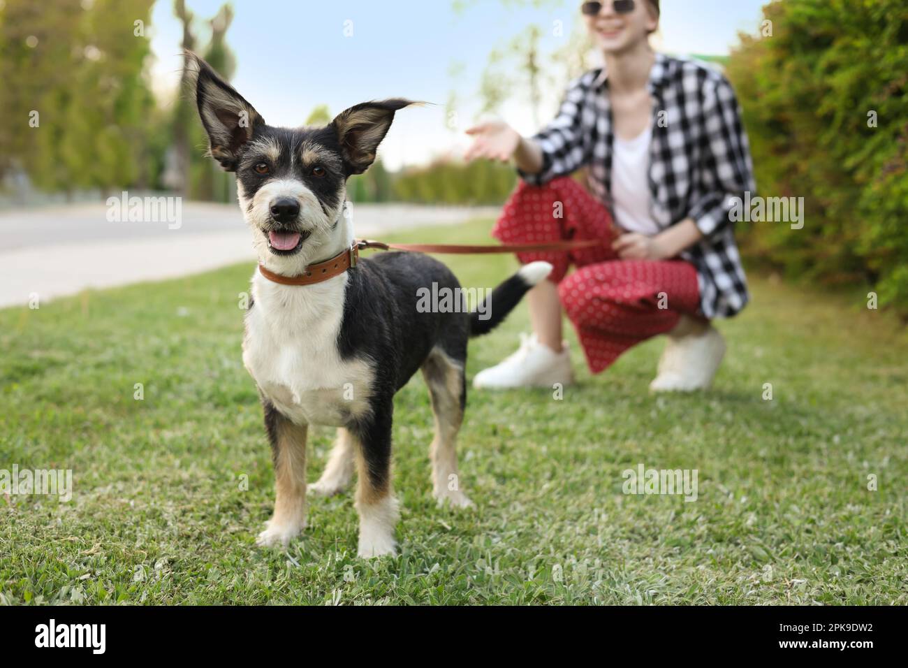 Teenager-Mädchen mit ihrem süßen Hund auf der City Street Stockfoto