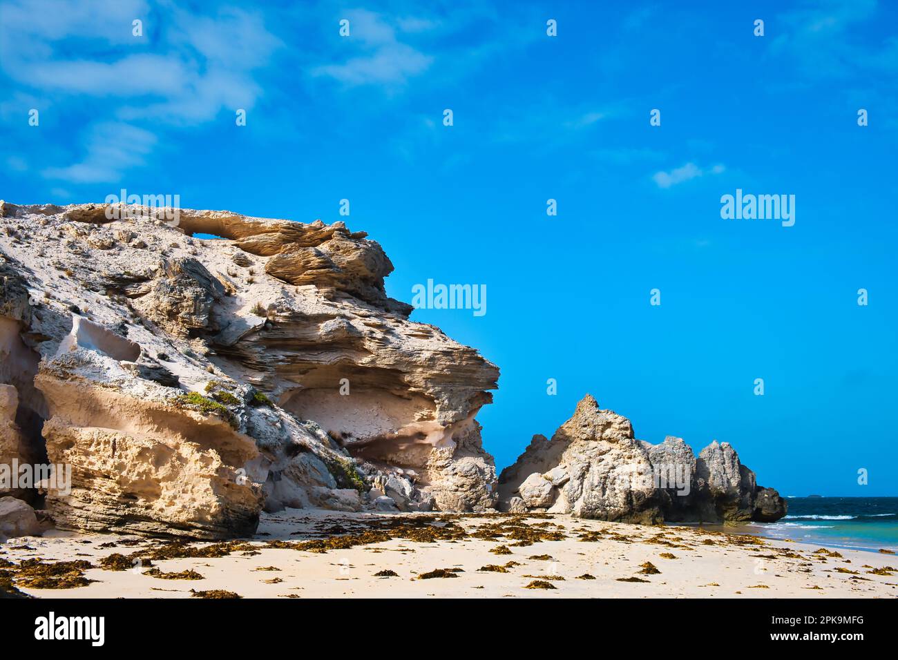 Felsformation aus Sandstein und Korallenfelsen und Sandstrand mit Algen in der Hamelin Bay im Leeuwin-Naturaliste-Nationalpark in Westaustralien Stockfoto