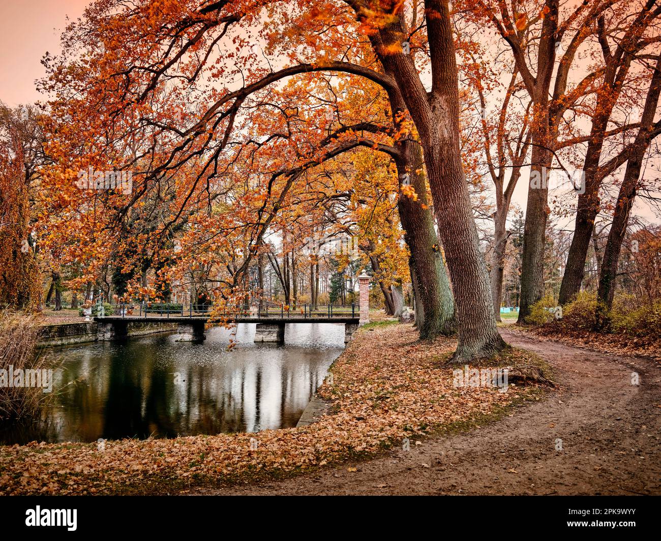 Usedom im Herbst, bebaute Burg Mellenthin, Schlosspark Stockfoto