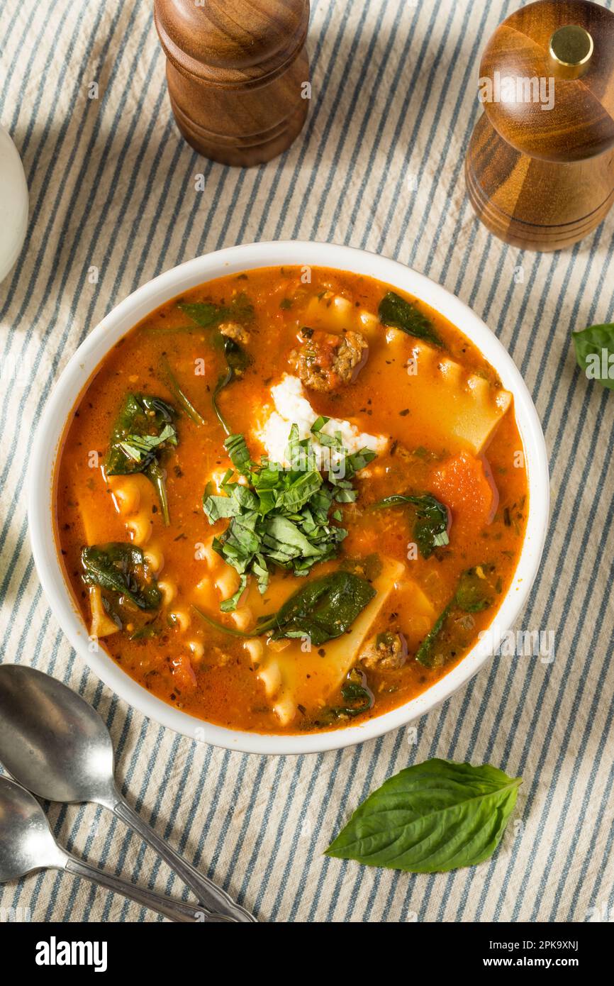 Italienische hausgemachte Lasagne-Suppe mit Basilikum und Käse Stockfoto