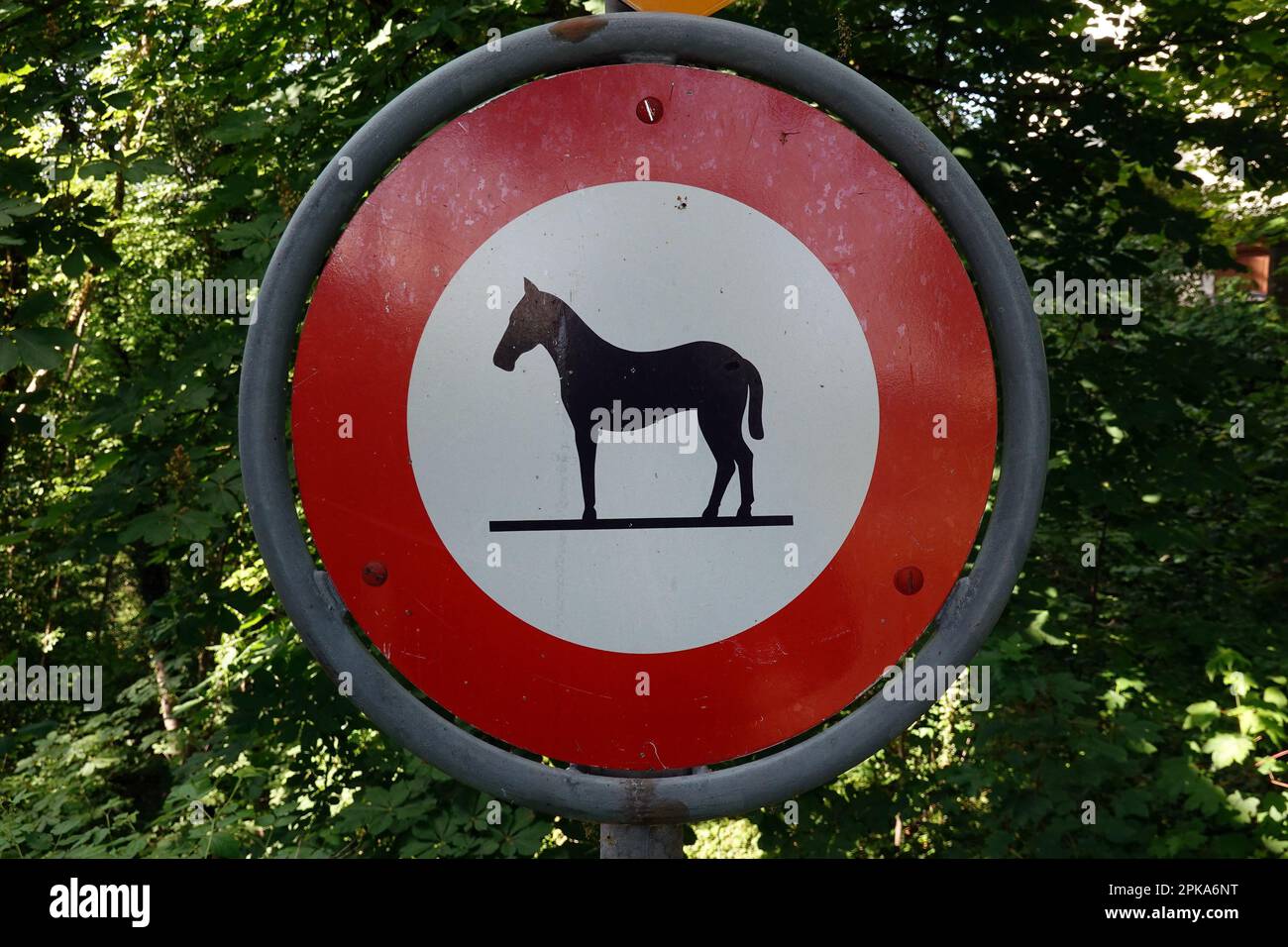 21.05.2022, Schweiz, Kanton Aargau, Aarau - Verkehrszeichen: Keine Passage für Pferde. 00S220521D085CAROEX.JPG [MODELLVERSION: NICHT ANWENDBAR, EIGENSCHAFT Stockfoto