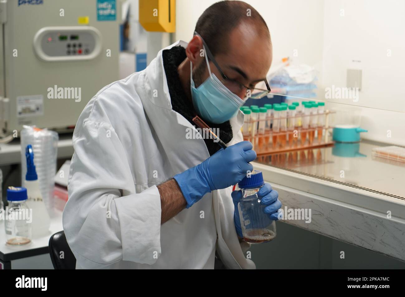 Untersuchungen über chronische bakterielle Infektionen innerhalb von Inserm. Student, der an bakteriologischen Infektionen arbeitet. Stockfoto