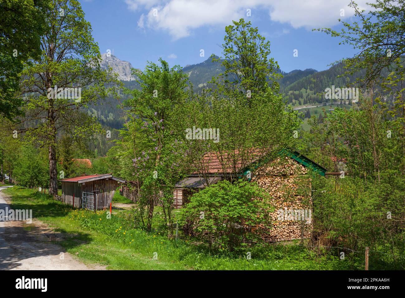 Pfad mit Holzhütte und Wendelstein, Oberbayern, Bayern, Deutschland, Europa Stockfoto