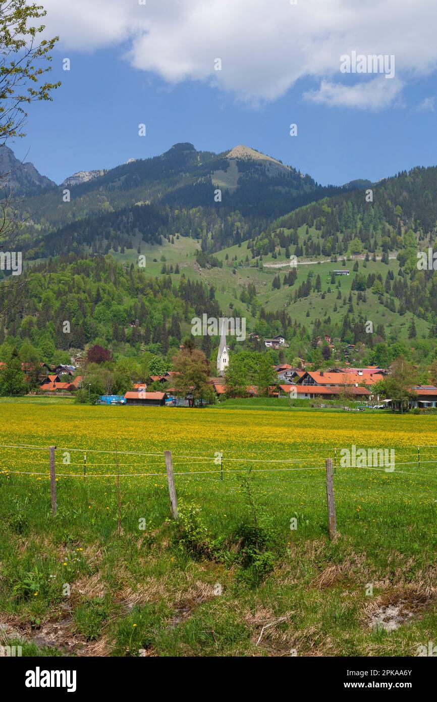 Bayrischzell mit Wendelstein, Oberbayern, Bayern, Deutschland, Europa Stockfoto