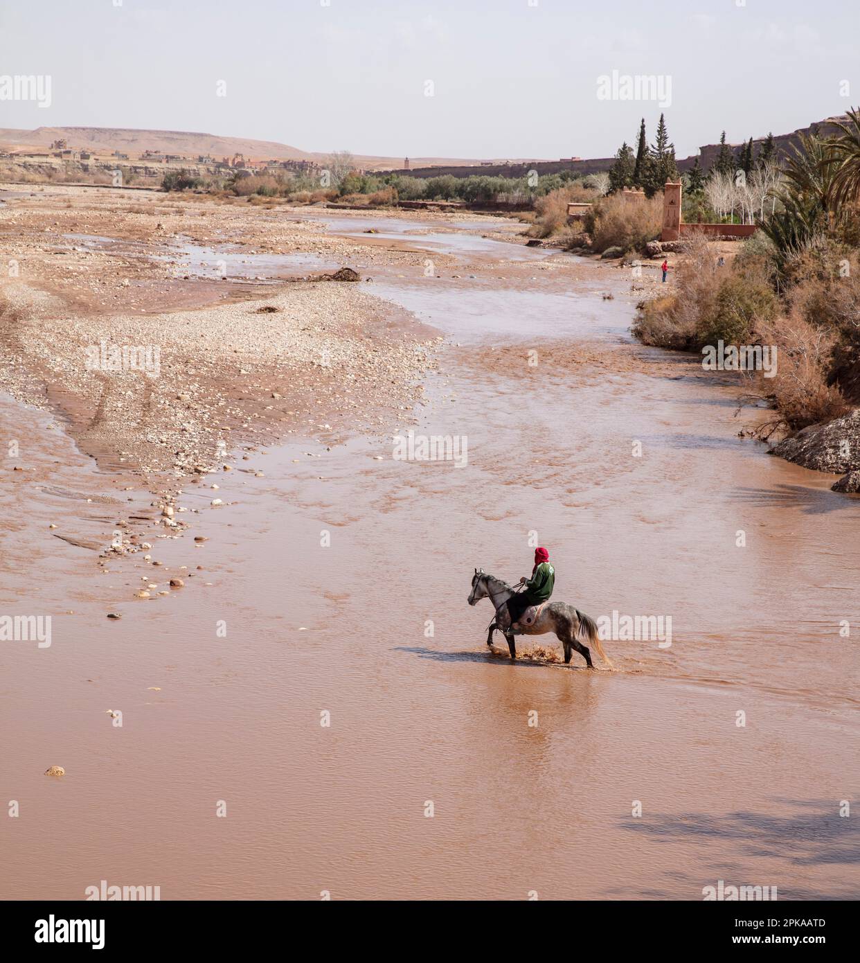 Marokko, Ait-Ben-Haddou, Ait-Ben-Haddou, arabisches Pferd, Reiter im Fluss, Stockfoto