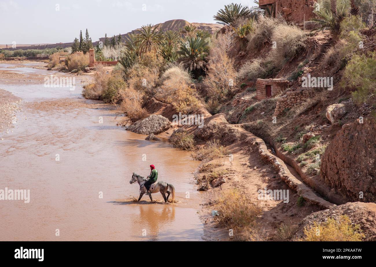 Marokko, Ait-Ben-Haddou, Ait-Ben-Haddou, arabisches Pferd, Reiter im Fluss, Stockfoto