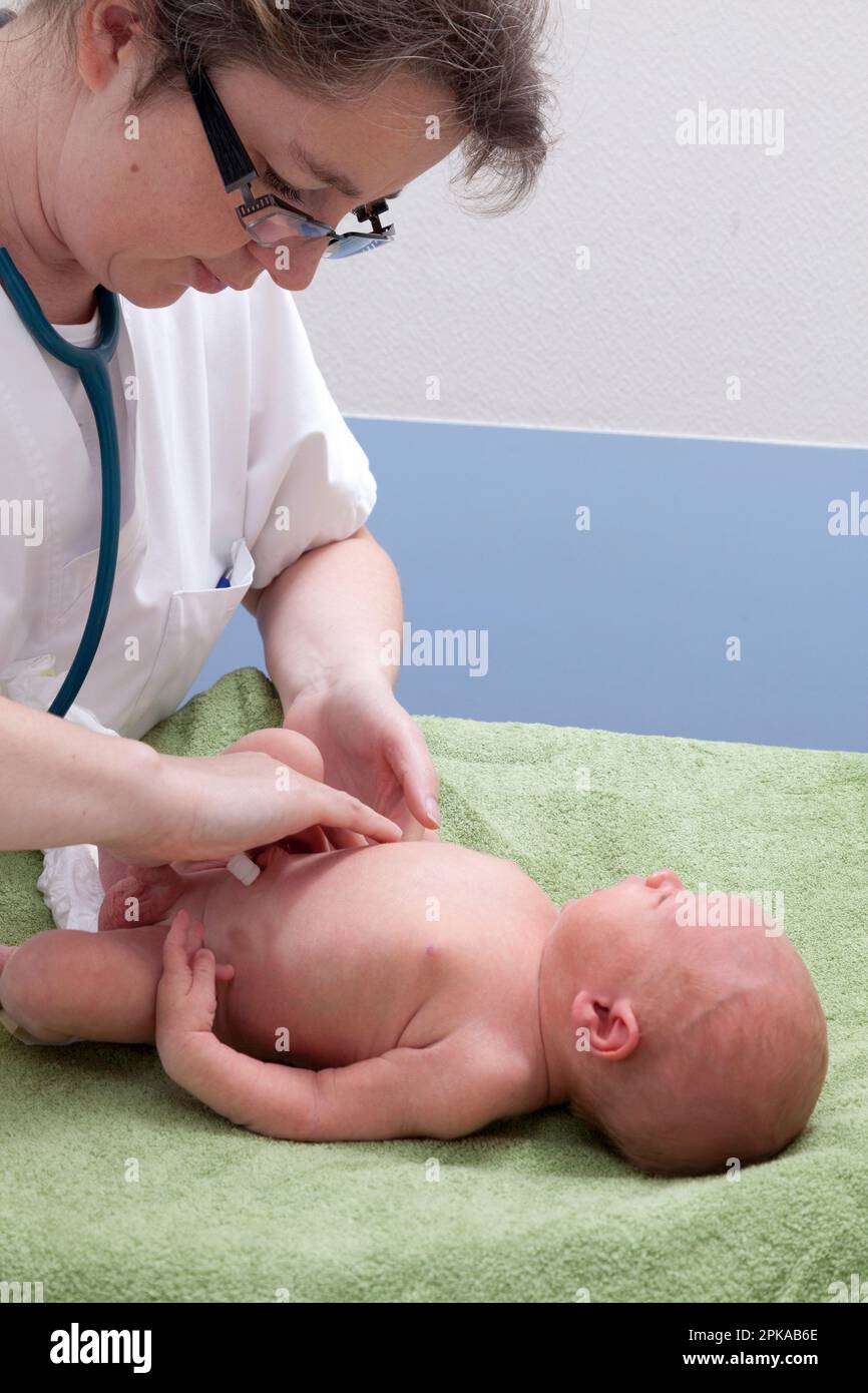 Der Kinderarzt führt eine abdominale und lumbale Palpation durch, um sicherzustellen, dass alle Organe an Ort und Stelle sind. St. Vincent de Paul Krankenhaus, Lille. Stockfoto