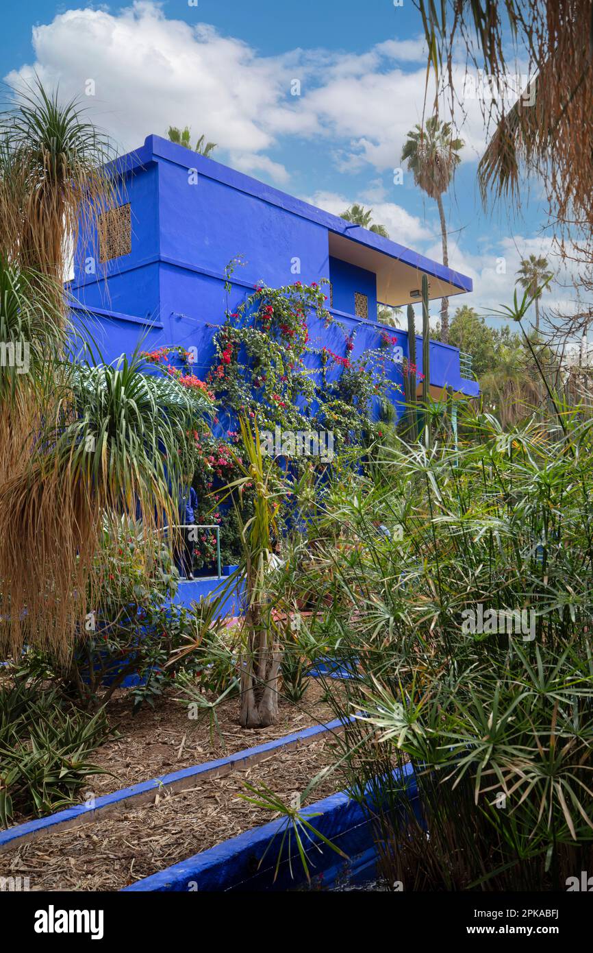 Marokko, Marrakesch, Jardin Majorelle, Yves Saint Laurent Garten Stockfoto