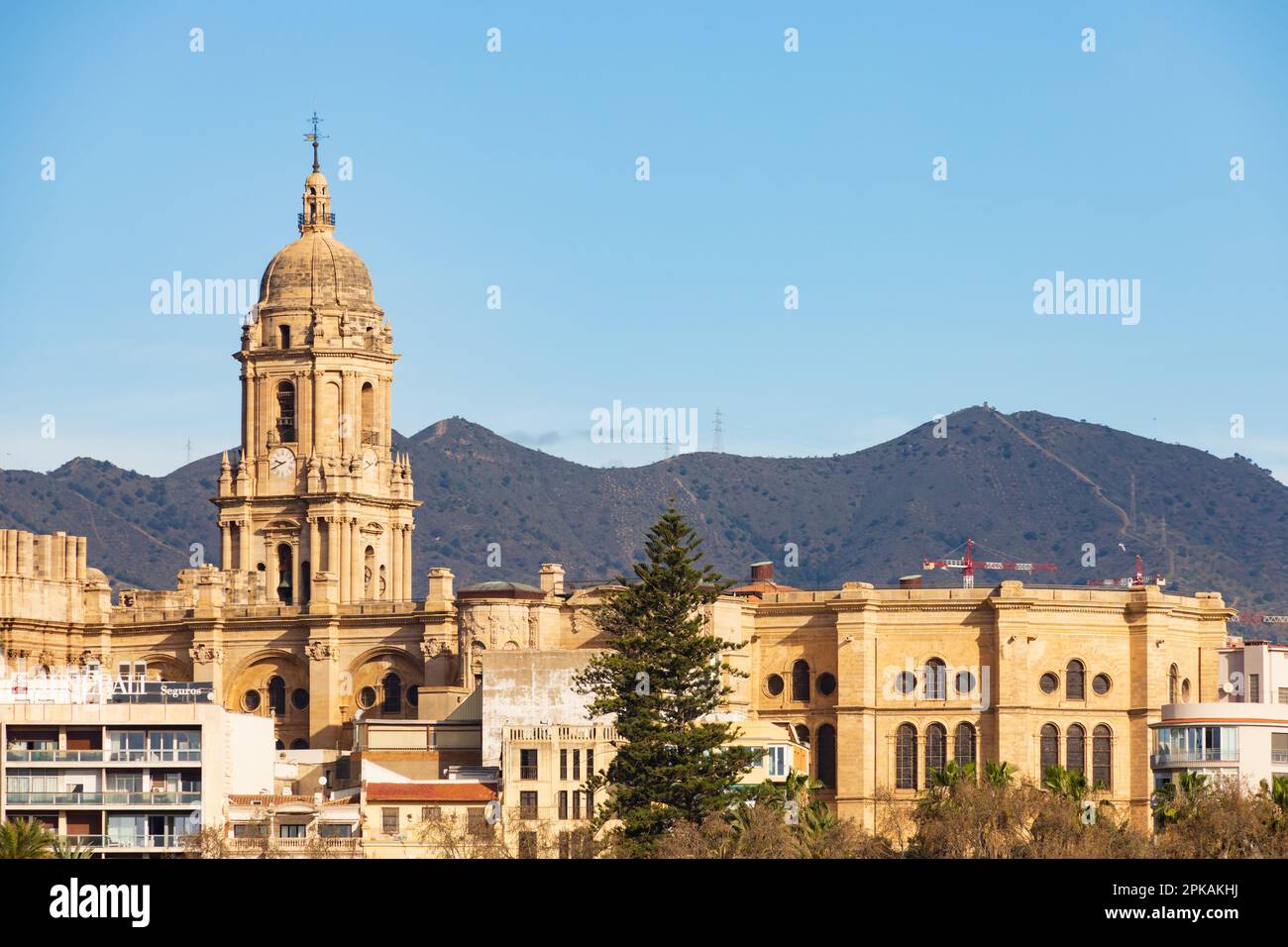 Catedral de la Encarnacion de Malaga. Malaga, Andalusien, Costa del Sol, Spanien Stockfoto