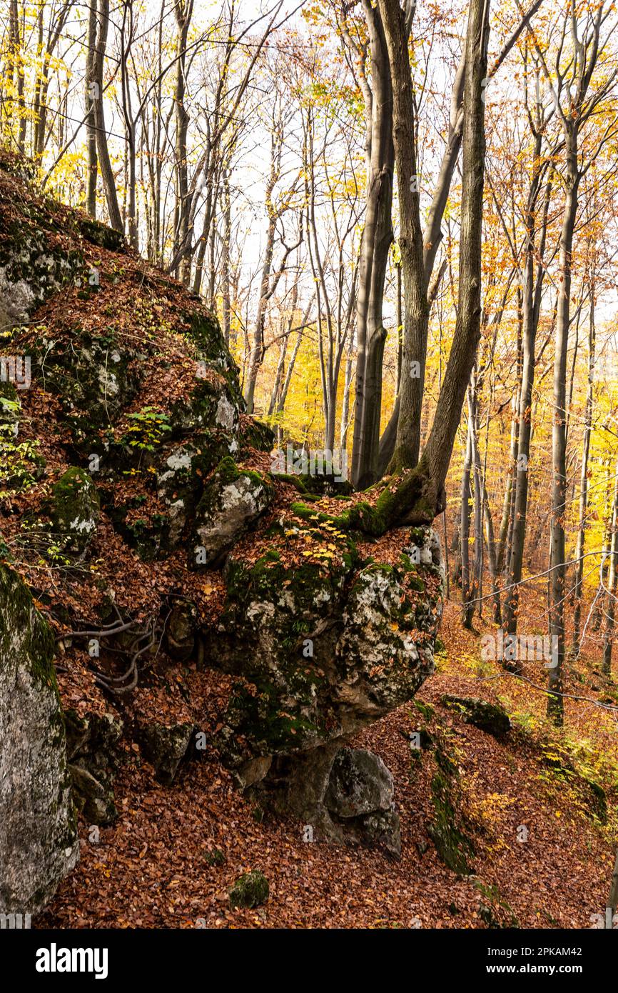 Europa, Polen, Schlesien, KrakauTschestochowa Hochland / Polnisches