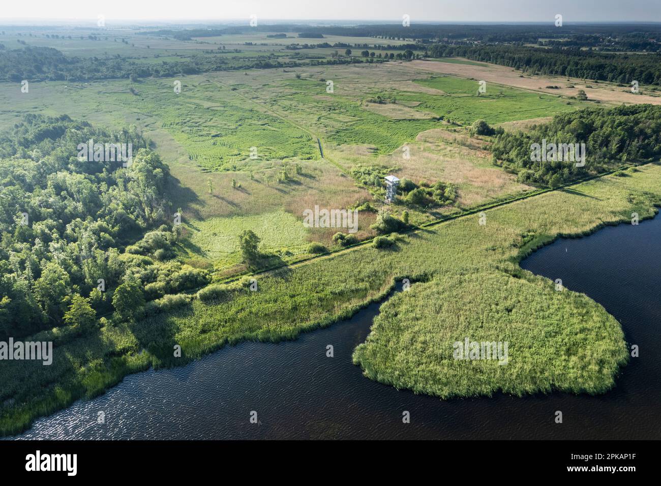 Europa, Polen, Niederschlesien, Przemkow Landschaftspark, Fischteiche in der Nähe von Przemkow Stockfoto