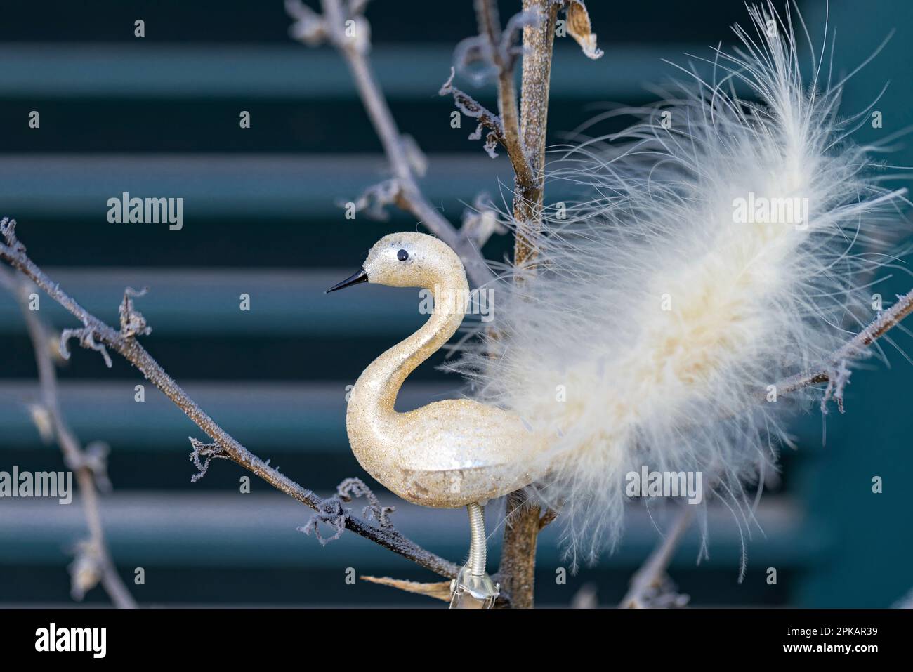 Detail der Weihnachtsbaumschmuck in einer Pflanze im Wintergarten Stockfoto