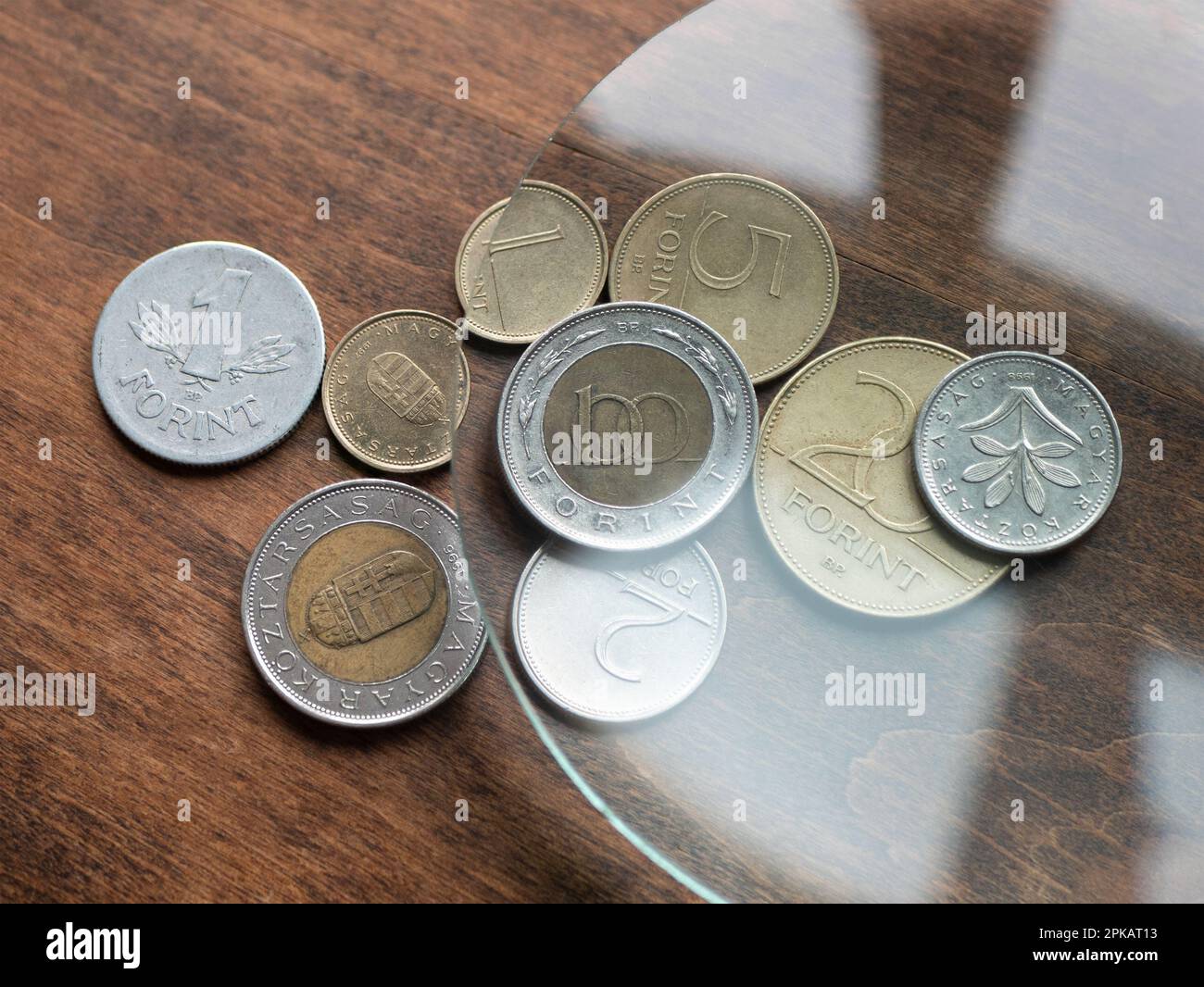 Ungarische Forint-Münzen unter einer Lupe auf einem Holztisch, selektiver Fokus. Lokale Währungen Stockfoto