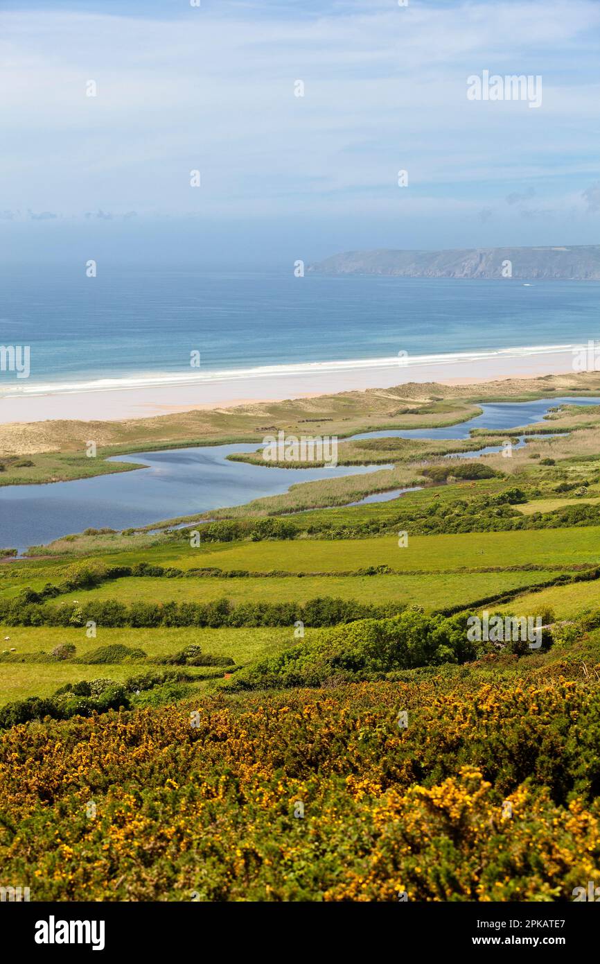 Stute de vauville Fotos und Bildmaterial in hoher Auflösung Alamy