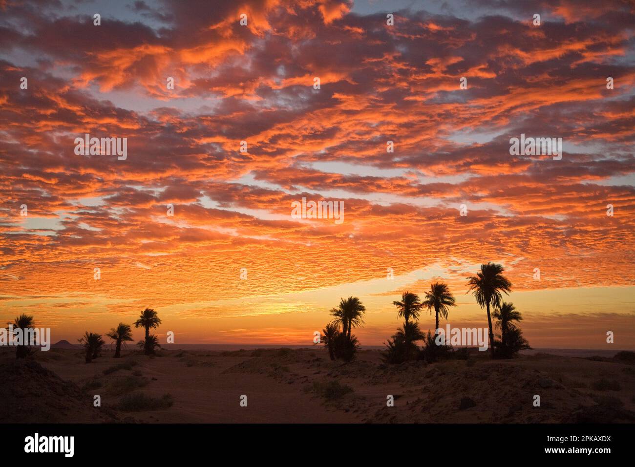 Algerien, bewölkter Himmel, Sonnenaufgang Stockfoto