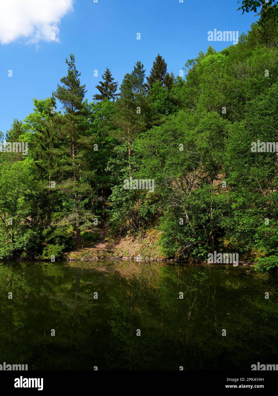 Der Silbersee im Rother Kuppe, Rhön Biosphärenreservat, Niederfrankreich, Franken, Bayern, Deutschland Stockfoto