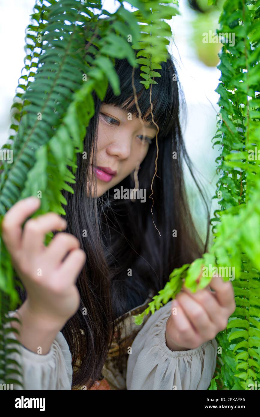Nahaufnahme einer asiatischen Frau, die Fern Plant untersucht | von der Kamera wegblickt | Hände im Bild Stockfoto