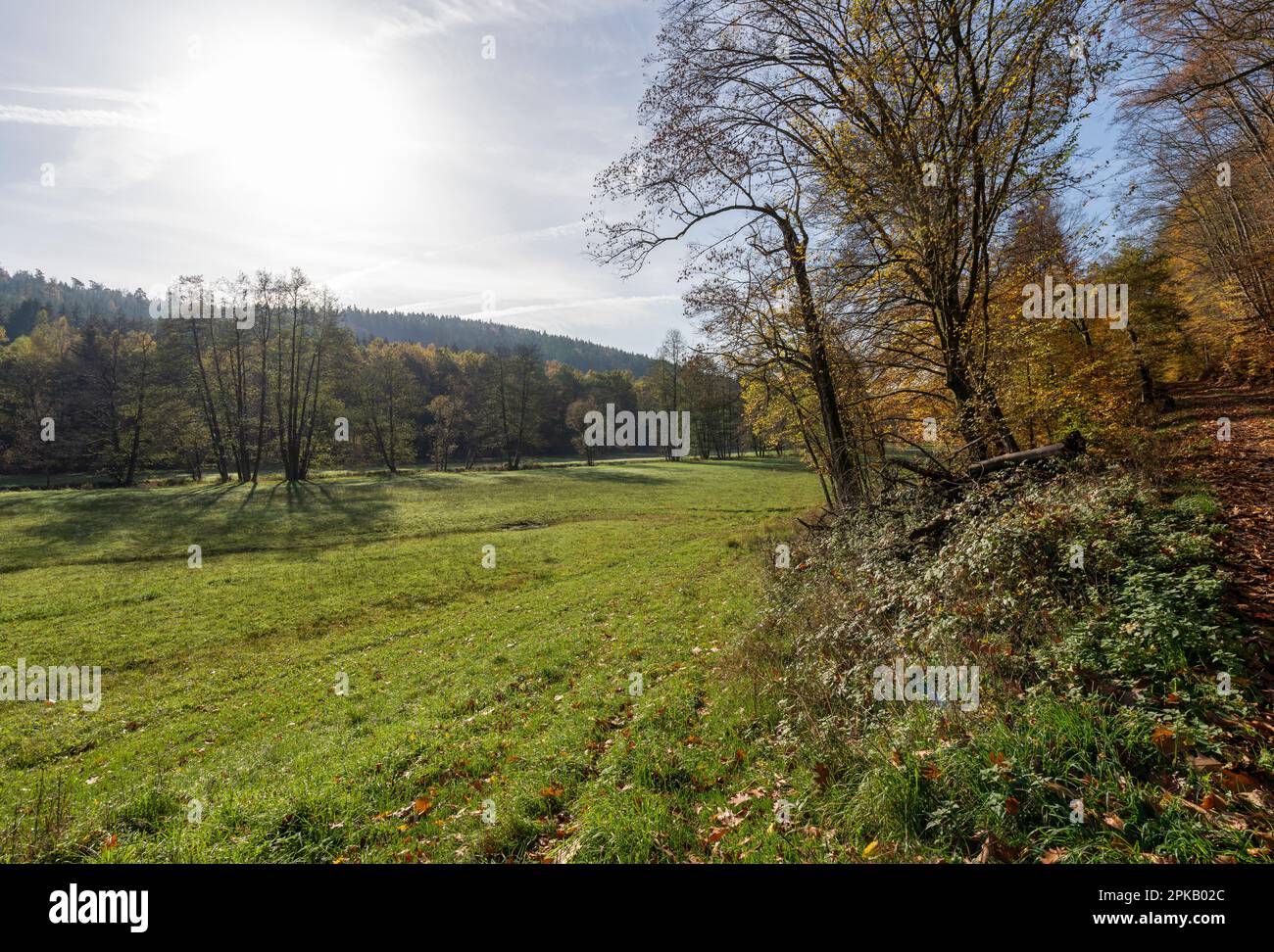 Naturschutzgebiet Niederes Schöndra-Tal zwischen der Gemeinde Heiligkreuz und Gräfendorf im Biosphärenreservat Rhön und im Naturpark Spessart, Niederfrankien, Franken, Bayern, Deutschland. Stockfoto