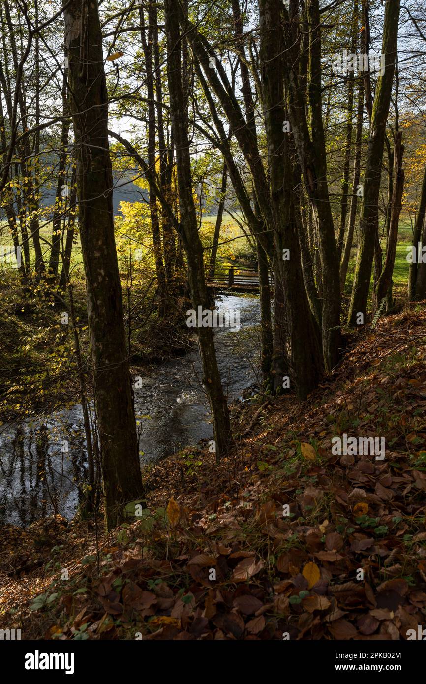 Naturschutzgebiet Niederes Schöndra-Tal zwischen der Gemeinde Heiligkreuz und Gräfendorf im Biosphärenreservat Rhön und im Naturpark Spessart, Niederfrankien, Franken, Bayern, Deutschland. Stockfoto